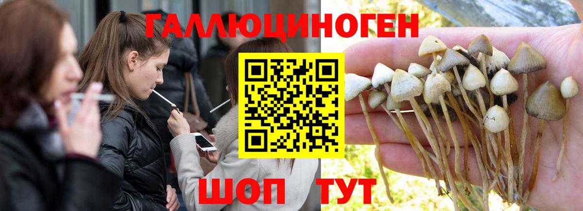 Галлюциногенные грибы мухоморы  Вход с VPN  Галлюциногенные грибы MAGIC MUSHROOMS  Унеча 
